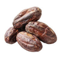 Dried cocoa beans in a pile on a transparent background showcasing natural texture and color, Dried Cocoa beans isolated on transparent background png