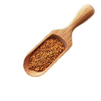 Wooden scoop filled with mustard seeds surrounded by scattered seeds on a transparent background, mustard seeds in wood scoop isolated on transparent background png