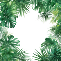 Tropical palm leaves create a lush green frame on a bright transparent background for a fresh, vibrant look, green botanical tropical palm leaves frame on transparent background png