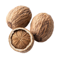 Dried nutmeg seeds on a clean transparent background showcasing their unique texture and natural form, dry nutmeg on transparent background png