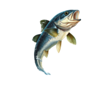 A realistic fish leaping out of water, showcasing splashes and vibrant colors on a transparent background, Realistic Fish Leaping Out of Water Isolated on transparent background png
