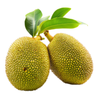 Young jackfruit pair with vibrant green leaves isolated on a clean transparent background showcasing their unique texture, Young jackfruit isolated on transparent background png