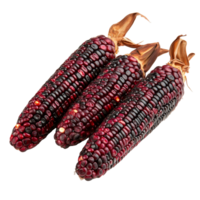 Red corn displayed on a bright transparent background, showcasing unique kernels and natural beauty, red corn on transparent background png