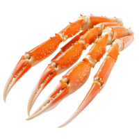 Delicious and fresh cooked crab legs served on a clean transparent background ready for a seafood feast, Fresh tasty cooked crab legs on a transparent background. crab legs png
