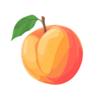 Fresh flat peach fruit with vibrant colors on a clean transparent background, perfect for summer fruit displays, Flat peach fruit isolated on transparent background png