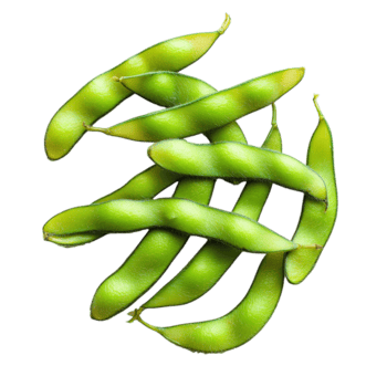 Fresh edamame pods displayed on a solid transparent background for a clean culinary presentation, Edamame Isolated transparent background solid transparent background png