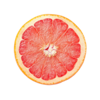 Ripe half of pink grapefruit lays isolated on a clean transparent background for culinary and health purposes, Ripe half of pink grapefruit citrus fruit isolated on transparent background png