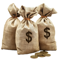 Money bags filled with coins featuring dollar signs arranged on a clean transparent background, money bags with dollar sign and coin on transparent background png