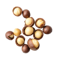 Freshly harvested macadamia nuts scattered on a transparent backdrop, showcasing their unique shell and kernel textures, Macadamia nuts on transparent background png