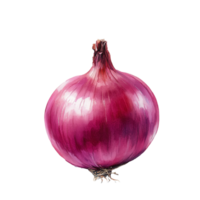 Fresh red onion resting on a clean transparent background, showcasing its vibrant color and natural texture, onion on transparent background png