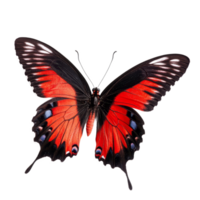 Colorful butterfly resting on transparent surface showcasing vivid hues and intricate wing patterns, 3D Butterfly on transparent background png