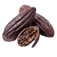 Ripe cocoa fruits on a transparent background showcasing their natural texture and seeds for culinary inspiration, ripe cocoa fruits isolated on transparent background png