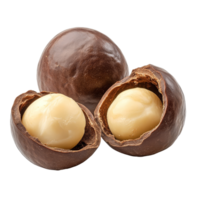 Macadamia nut isolated on a clean transparent background, showcasing the smooth texture and rich color of the nut itself, Peeled macadamia nut isolated on transparent background png
