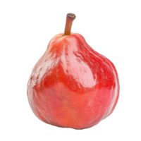 Half of a ripe rose apple displayed on a clean transparent background, showcasing its vibrant color and smooth texture, hlaf rose apple isolated on transparent background png