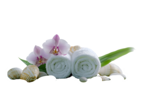 Tranquil spa setting with orchids and seashells on a transparent background png