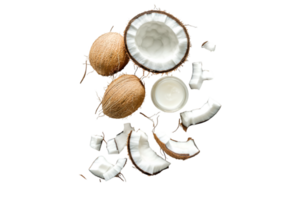 Coconut Halves with Pieces and Oil on Transparent Background png
