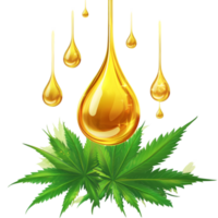 CBD oil drops with cannabis leaves isolated on a transparent background png