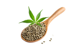 Hemp seeds in a wooden spoon with cannabis leaf isolated on a transparent background png