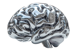 Digital metallic AI brain isolated on transparent background. png