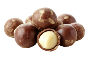 Macadamia nuts isolated on transparent background. png