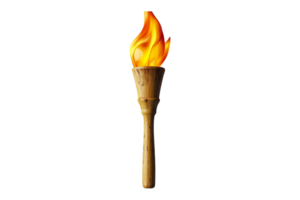 torche flamme icône isolé sur transparent Contexte. png