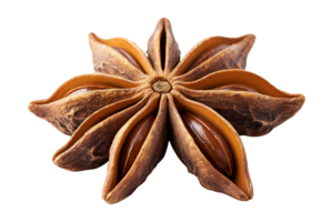 Star anise spice isolated on transparent background. png