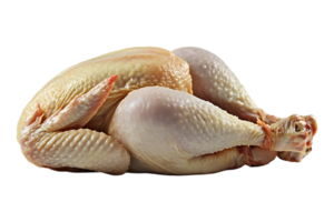 Raw chicken isolated on transparent background png