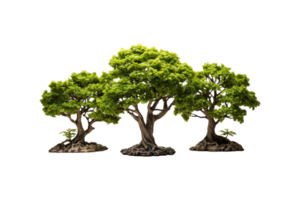 Artificial Trees on transparent background. png