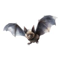 Watercolor Illustration of a Smiling Bat with Wings Spread png