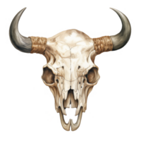A Watercolor Illustration of a Bison Skull with Horns png