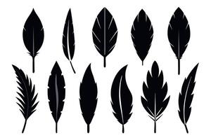 Feathers Icon Set vector