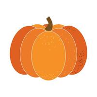 Ripe pumpkin isolated on white background. vector