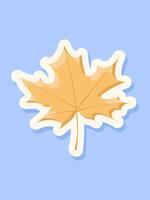 Maple leaf isolated on a light blue background. vector