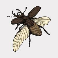 Lucanus cervus beetle colorful handmade illustration artwork vector