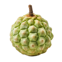 custard apple fruit, isolated on the transparent background png