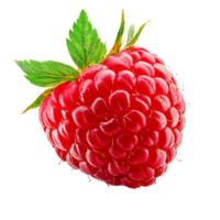 Raspberry Fruit, isolated on the transparent background png