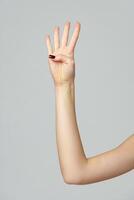 Female hand showing four fingers up on gray background photo