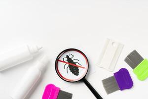 Tools for inspecting and treating lice infestations at home with a magnifying glass and a comb photo
