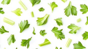 Freshly cut celery leaves and stalks scattered on a white background showcasing their vibrant green color and texture photo
