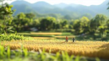 Two farmers walk through a golden rice field in the mountains during a sunny afternoon, surrounded by lush greenery photo