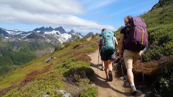 Hikers exploring a scenic mountain trail surrounded by lush greenery and snow-capped peaks on a sunny day photo