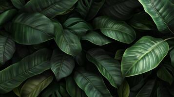 Dense green foliage creating a lush, tropical environment with varying leaf textures and shades in natural light photo