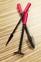 composition of garden tools photo