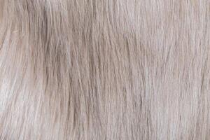 texture of fur photo