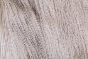 texture of fur photo