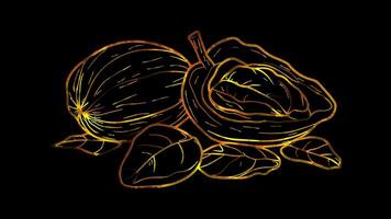Neon frame effect, Nut - Represents healthy snacks or vegetarian options on black background video