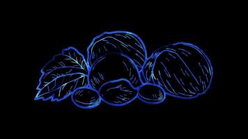 Neon frame effect, Nut - Represents healthy snacks or vegetarian options on black background video