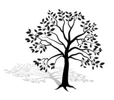 silhouette tree with shadow vector