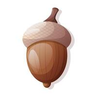 Brown acorn on white background, illustration with shadow vector