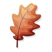 Autumn orange leaf on white background, illustration with shadow vector